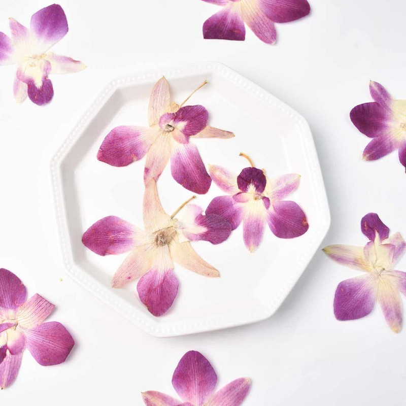 Resin Art For Photo Frame - 4 peças, Flores de Orquídea Borboleta