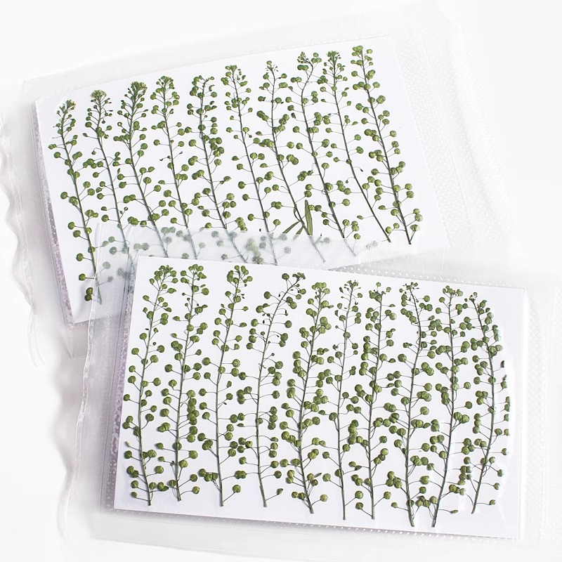 Cor natural verde sino grama p - Resin Art For Photo Frame avaliação e preço