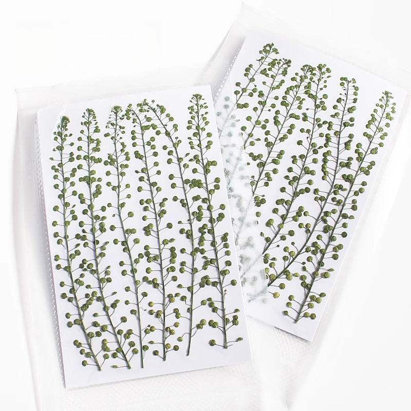 Cor natural verde sino grama p - Resin Art For Photo Frame avaliação e preço