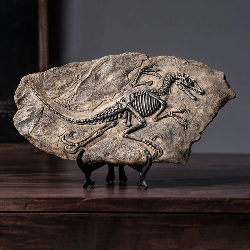 Modelo de Fóssil de Dinossauro - Resin Art Decoration Items avaliação e preço