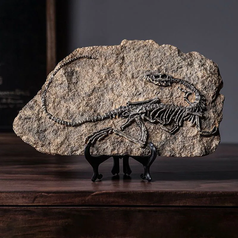 Modelo de Fóssil de Dinossauro - Resin Art Decoration Items avaliação e preço