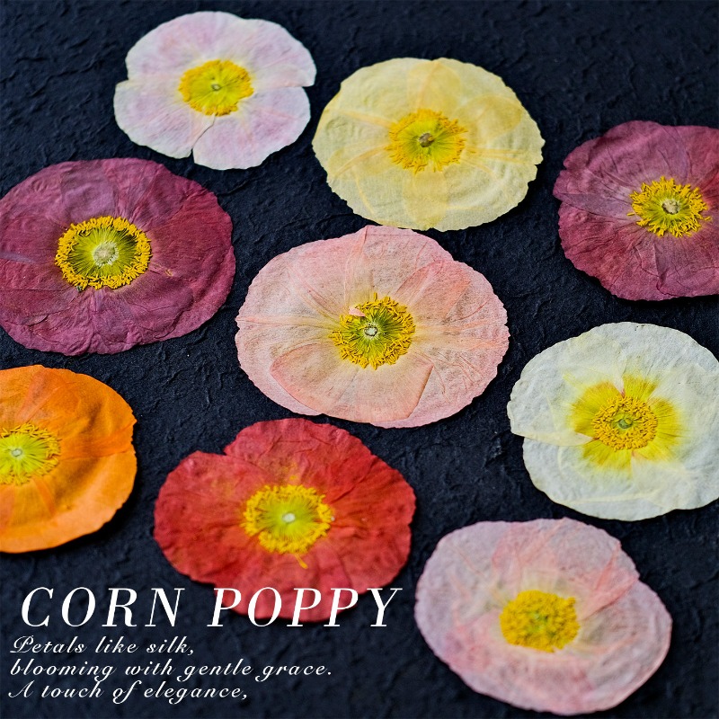 1 peça, Papoula Natural Prensa - Resin Art For Photo Frame avaliação e preço