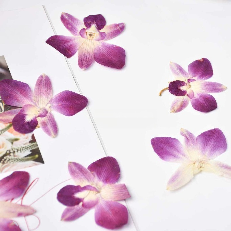 4 peças, Flores de Orquídea Bo - Resin Art For Photo Frame avaliação e preço