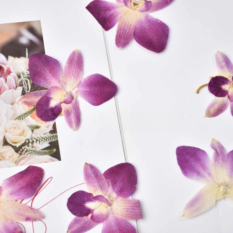 4 peças, Flores de Orquídea Bo - Resin Art For Photo Frame avaliação e preço