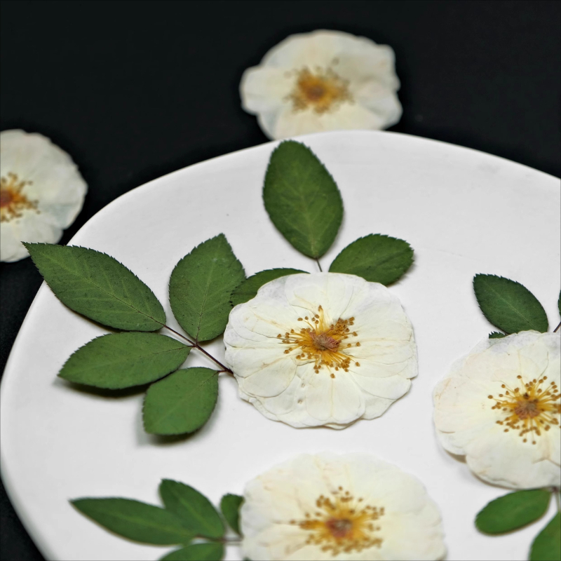 6 peças, 9 peças, rosa branca  - Resin Art For Photo Frame avaliação e preço